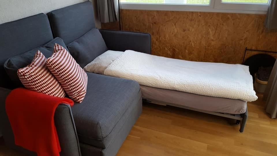 Saignelégier ジート シェ トワネット Bed & Breakfast エクステリア 写真